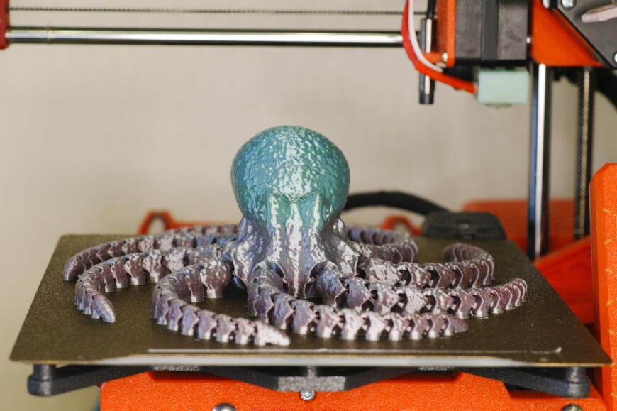 Разноцветный осьминог