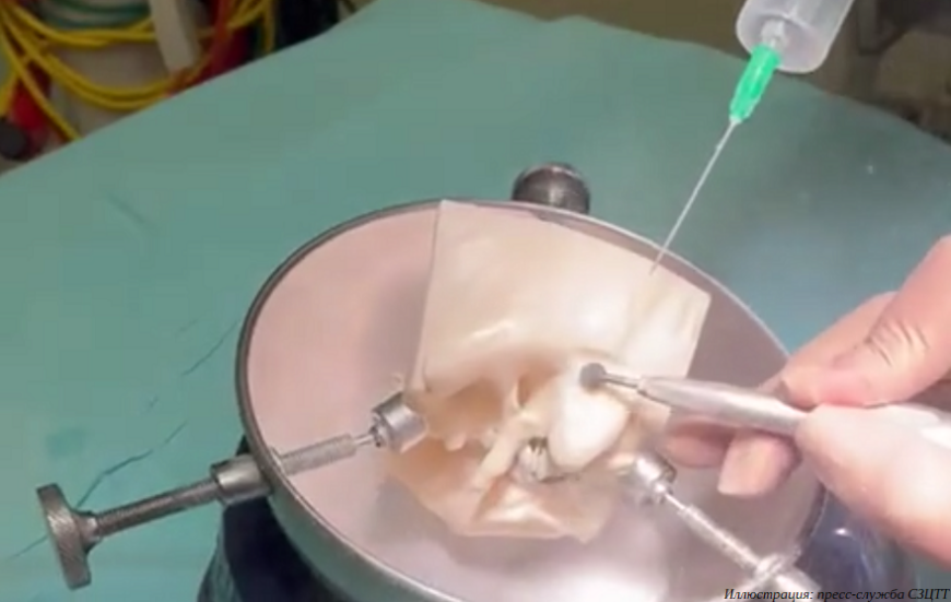3D-печатные анатомические модели CML AT Medical повысят эффективность хирургических операций