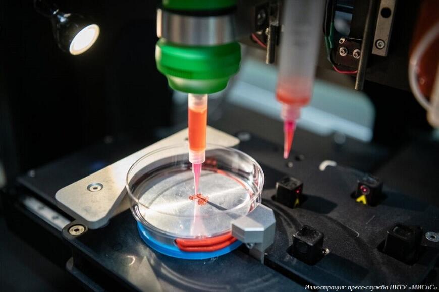 НИТУ «МИСиС» готовит специалистов в области 3D-биопечати