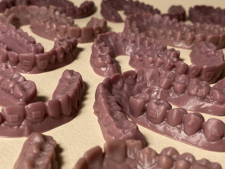 Много челюстей