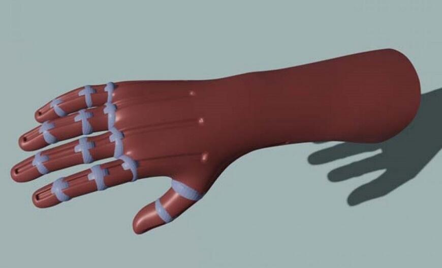Студент ПГНИУ разрабатывает протез руки с искусственными мышцами