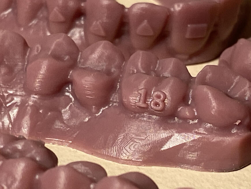 Много челюстей