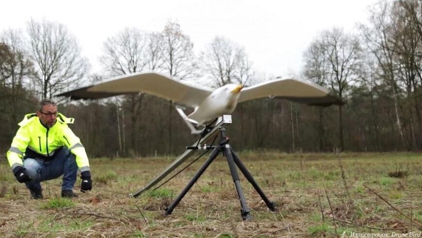 3D-печатные беспилотники от Drone Bird имитируют птиц