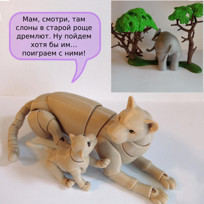 В мире животных