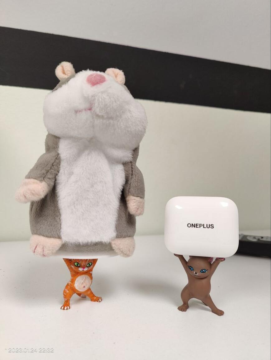 Просто котики