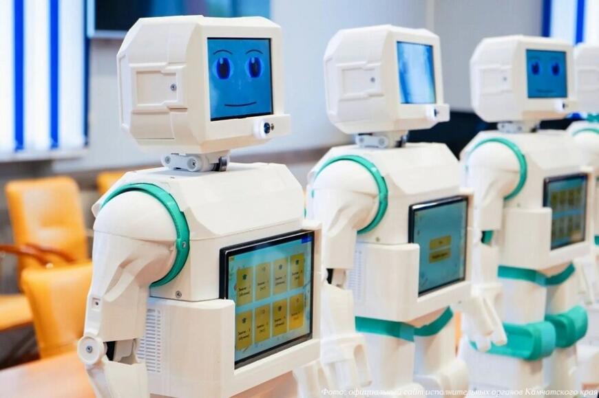 На Камчатке началась эксплуатация роботов для социализации детей с аутизмом На Камчатке началась эксплуатация роботов для социализации детей с аутизмом