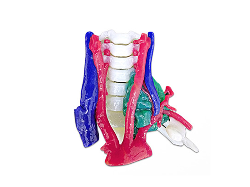 WJP 3D принтеры LIDER-3D в медицине WJP 3D принтеры LIDER-3D в медицине