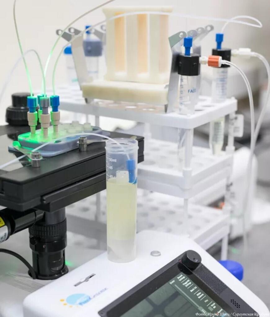 Сургутские ученые создают микрокапсулы из северных растений