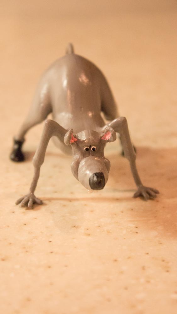 символ года символ года