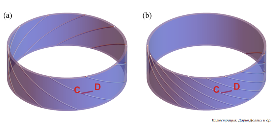 В ПНИПУ исследуют 3D-печать протезов армированными полимерными композитами