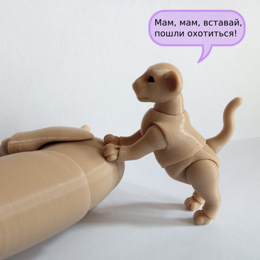 В мире животных