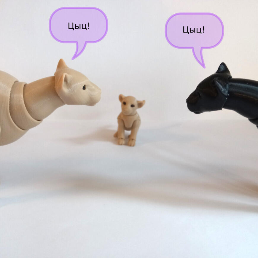 В мире животных