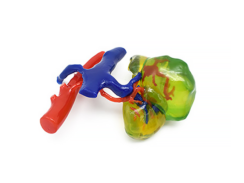 WJP 3D принтеры LIDER-3D в медицине WJP 3D принтеры LIDER-3D в медицине