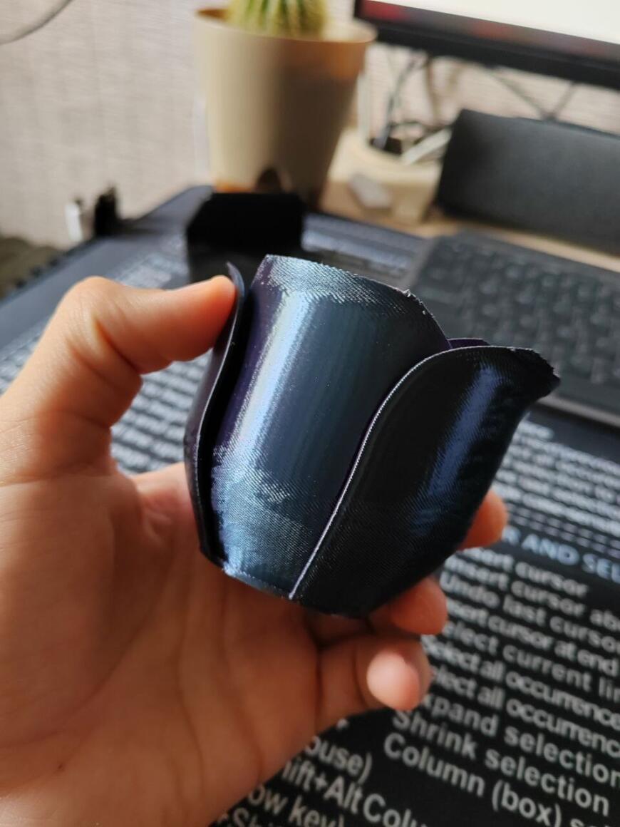 FLSUN SR нечеткие контуры модели