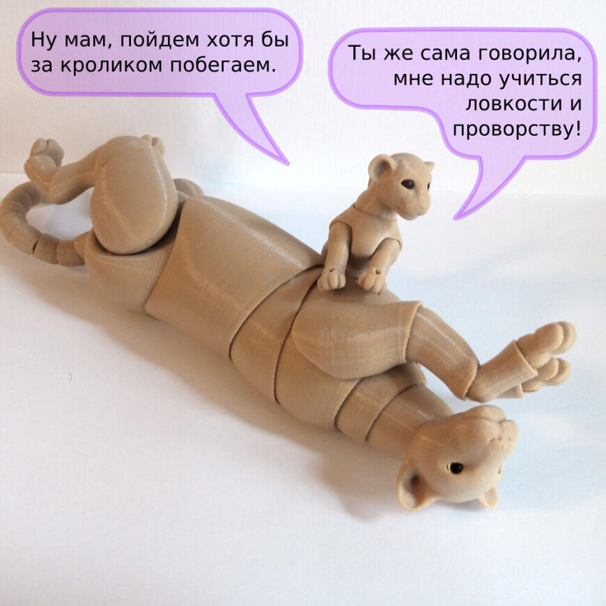 В мире животных