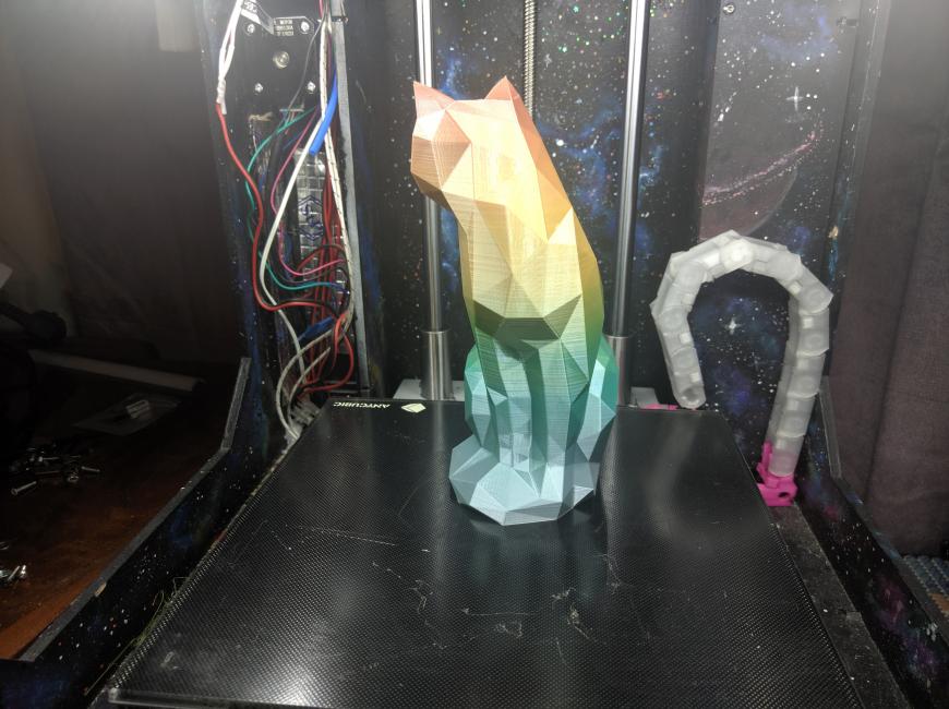 Радужная кошка