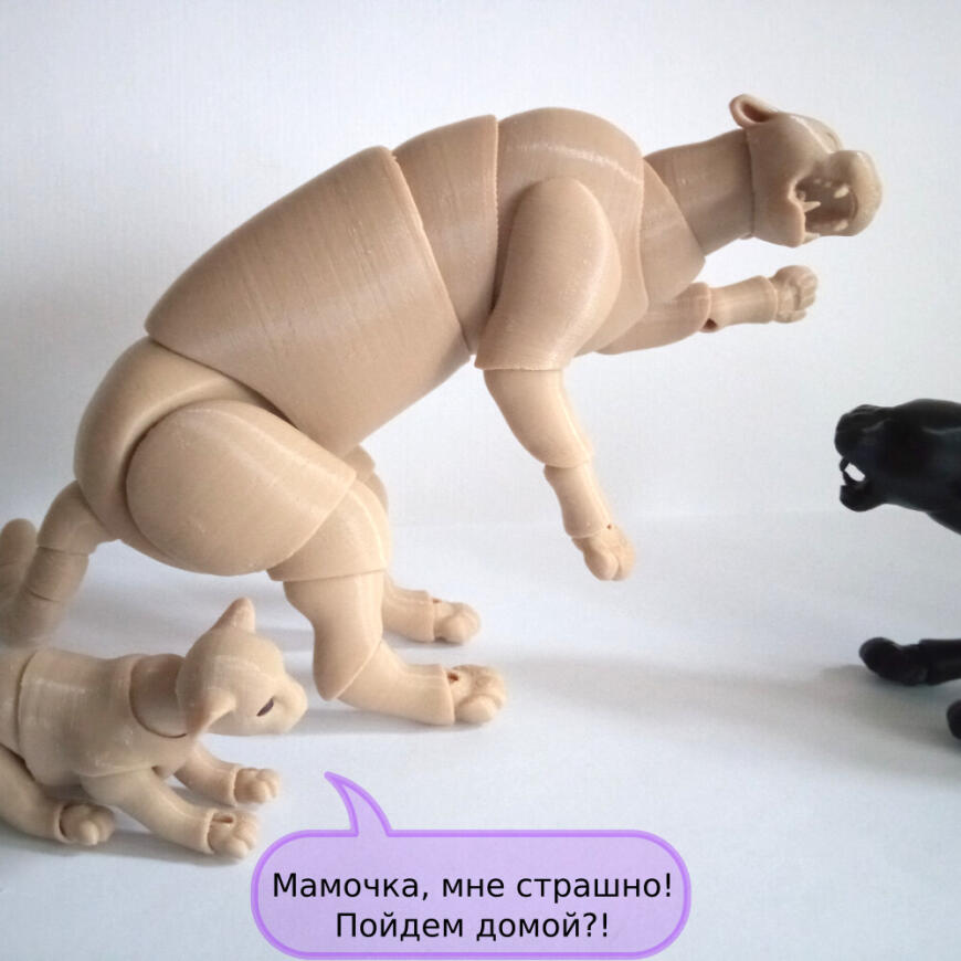 В мире животных