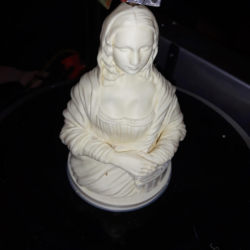 Mona Lisa FDM Mona Lisa FDM