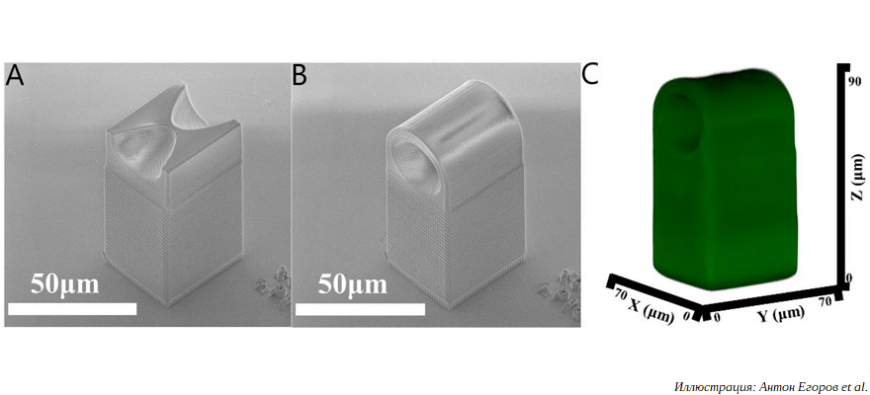 Ученые ИБХФ РАН повысили точность и скорость 3D-печати микролинз