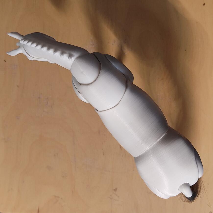 Лошадь BJD. Мой путь в четырех томах.