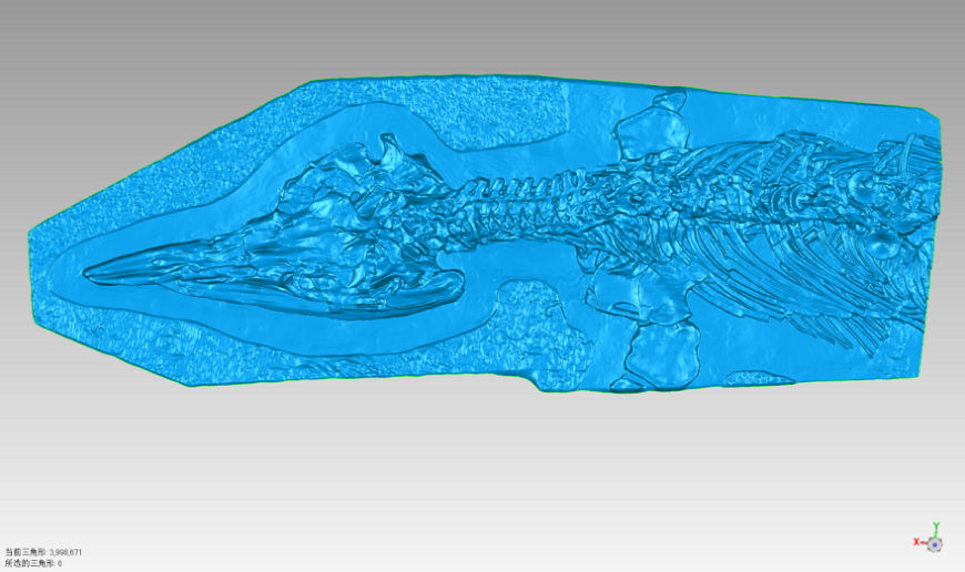 Сотрудники китайского музея оцифровали кости динозавров 3D-сканером EinScan HX