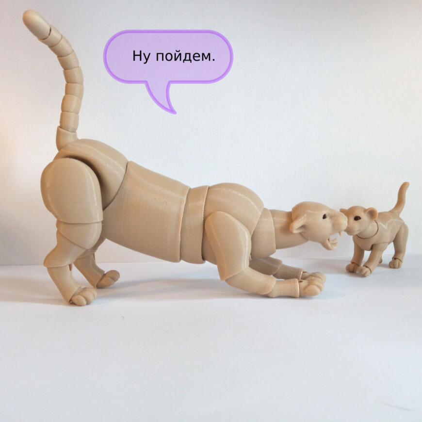 В мире животных