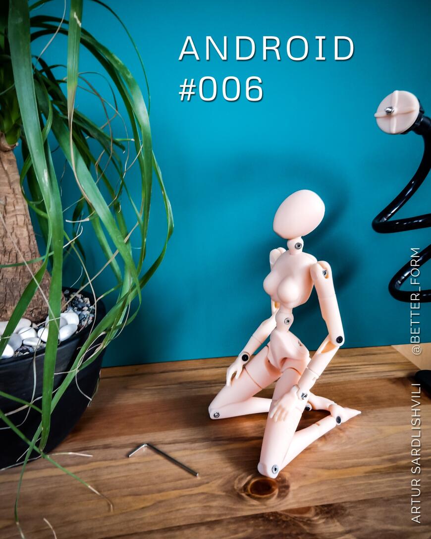 Манекен номер 006