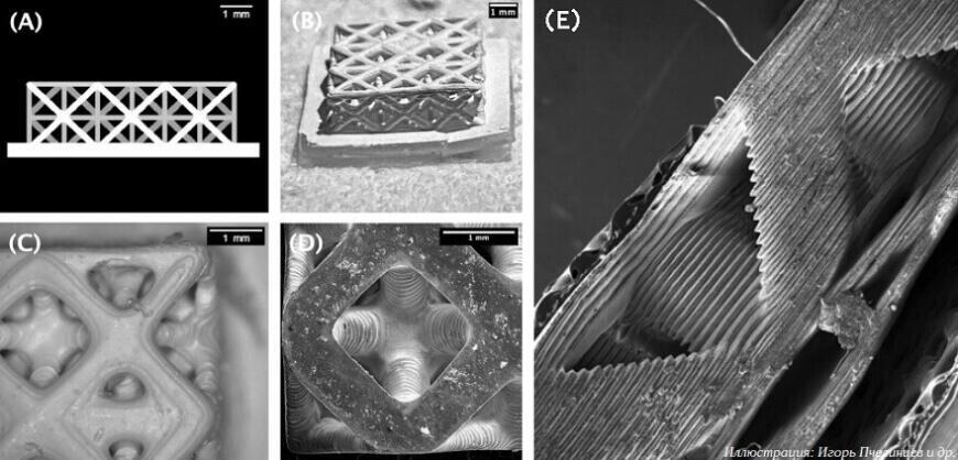 Жюри форума «ТехПред-2025» отметило десять лучших студенческих стартапов