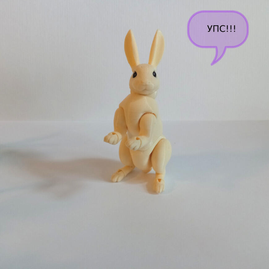 В мире животных