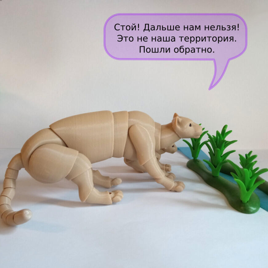 В мире животных