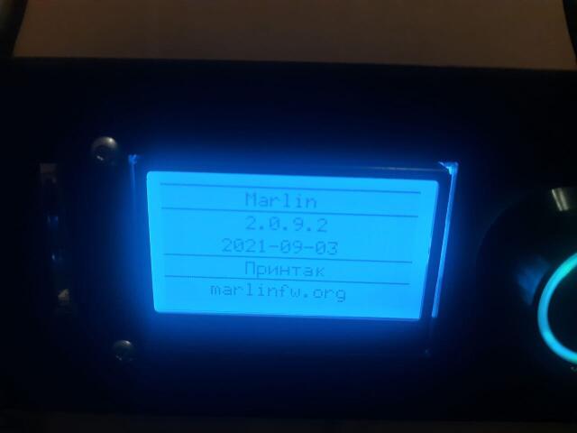 3D принтер P3S 300