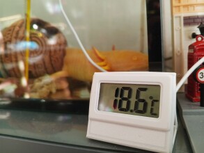 Подставка - держатель Термометра