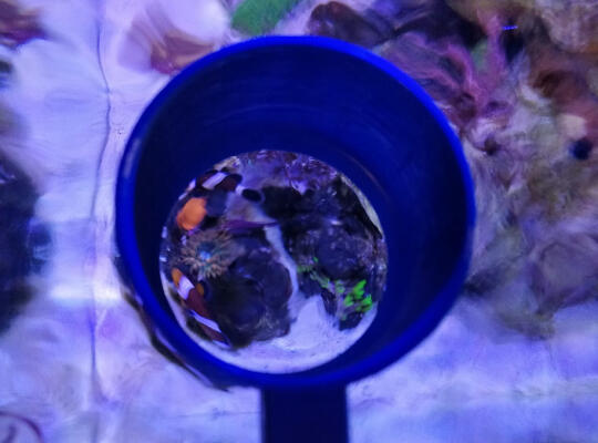 Кормушка для сухого корма в аквариум-миник