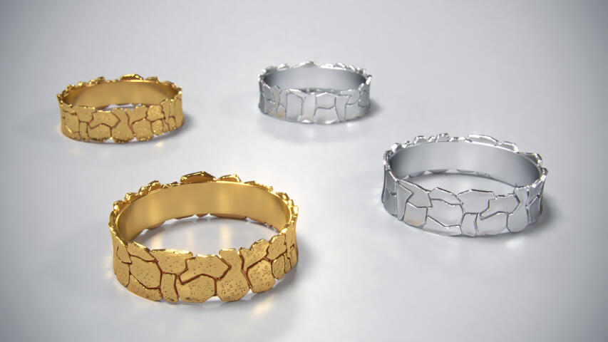 Ring splinters 3D print model