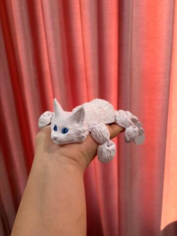 Кот мейн кун