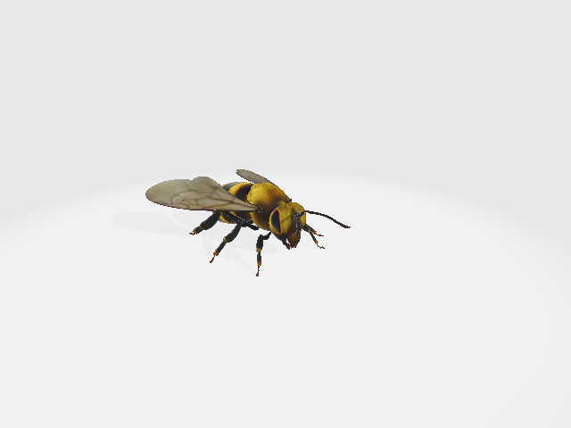 пчела 3d модель