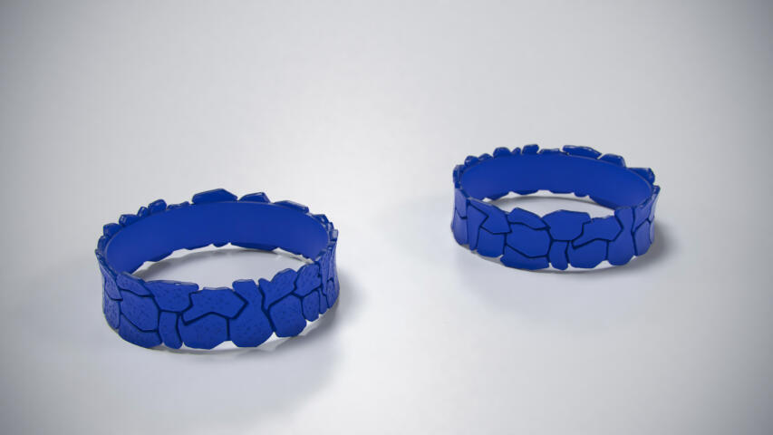 Ring splinters 3D print model