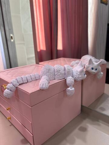 Кот мейн кун