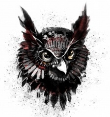 Пользователь Mulfarion