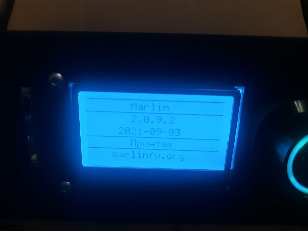 3D принтер P3S 300