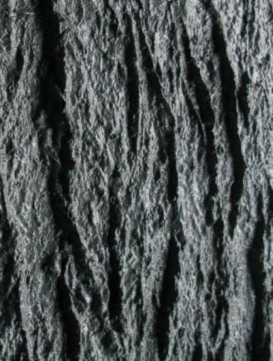 Нанести фактуру кора на имеющуюся 3д модель