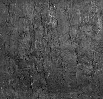 Нанести фактуру кора на имеющуюся 3д модель