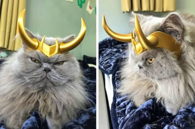 нужна 3д модель