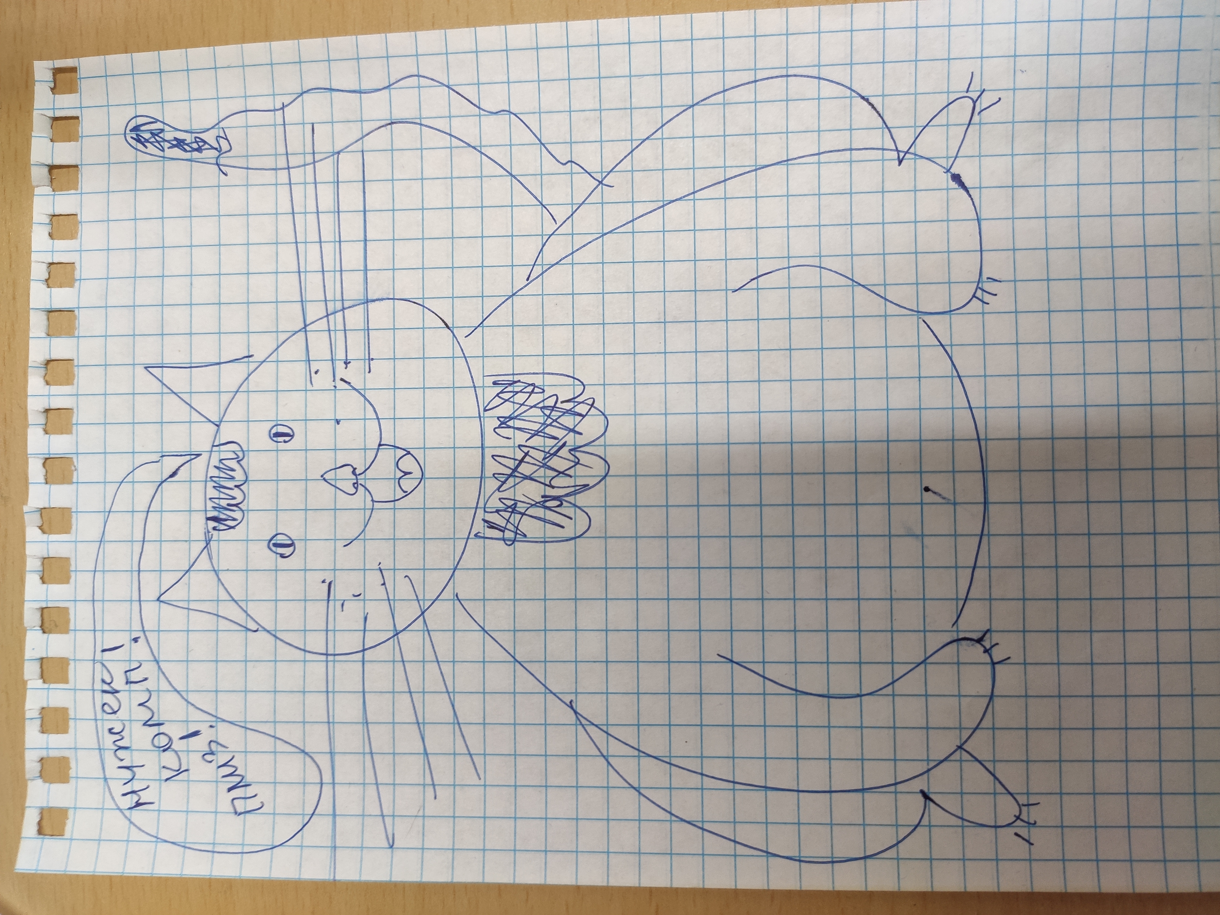 Сделать модель котика по рисунку Сделать модель котика по рисунку