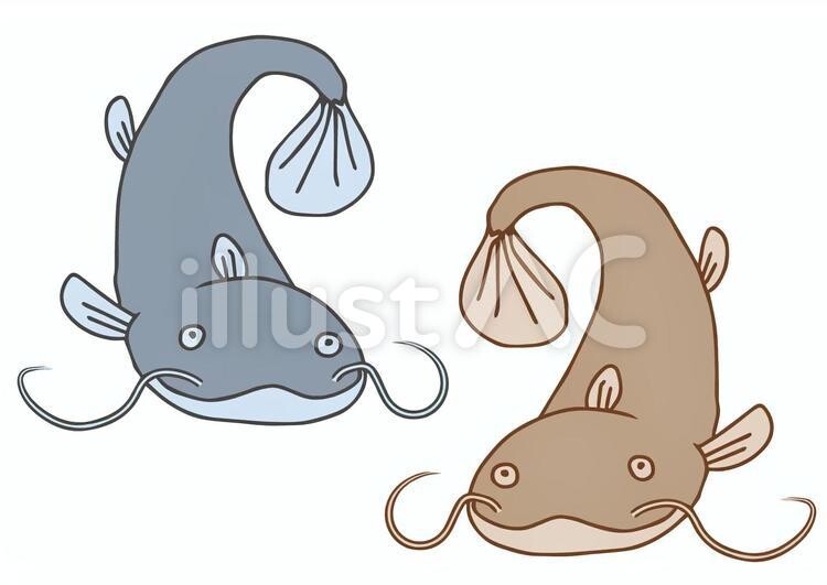 Нужно нарисовать сома