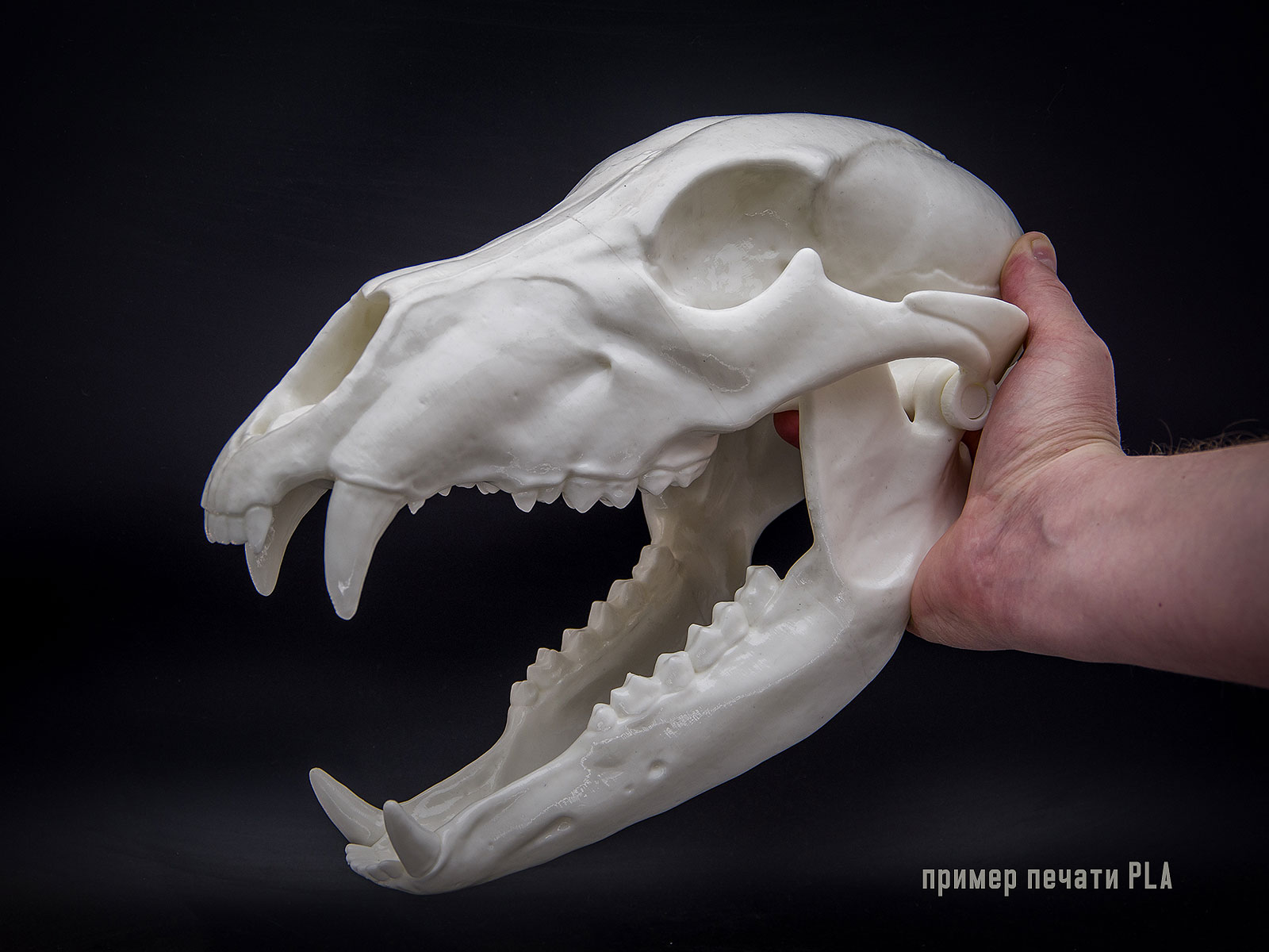 3D Принтер "Hercules NEW"