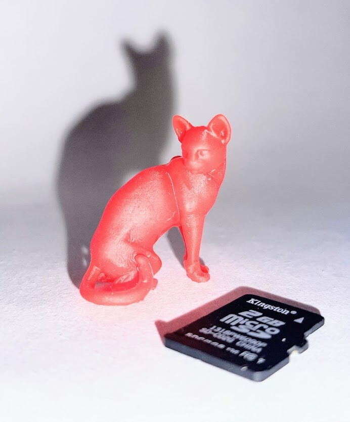 Wanhao D7 первой ревизии