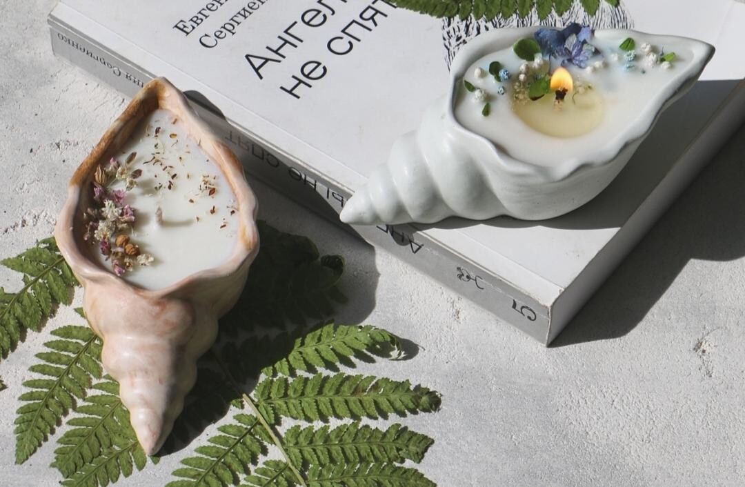 Сколько будет стоить нарисовать модель ракушки?