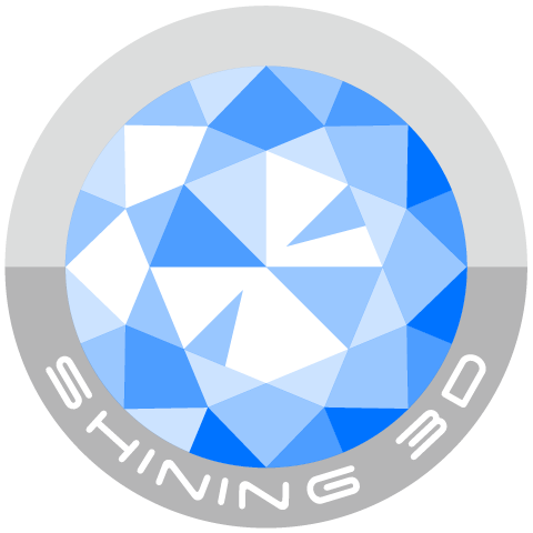 компания Hangzhou Shining 3D Tech Co., Ltd компания Hangzhou Shining 3D Tech Co., Ltd