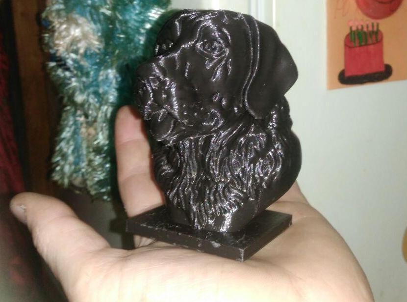 Labrador büstü (Plastik Aparattır!!!)